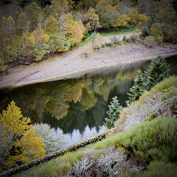 Reflets et ombres sur la rivière © Hélène Toulet